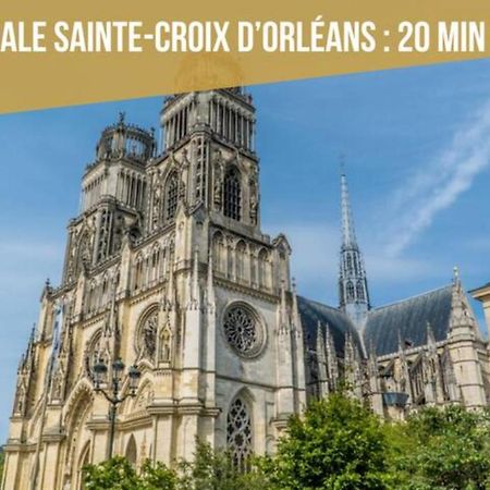 La Madeleine Maison *T3* Daire Orléans Dış mekan fotoğraf